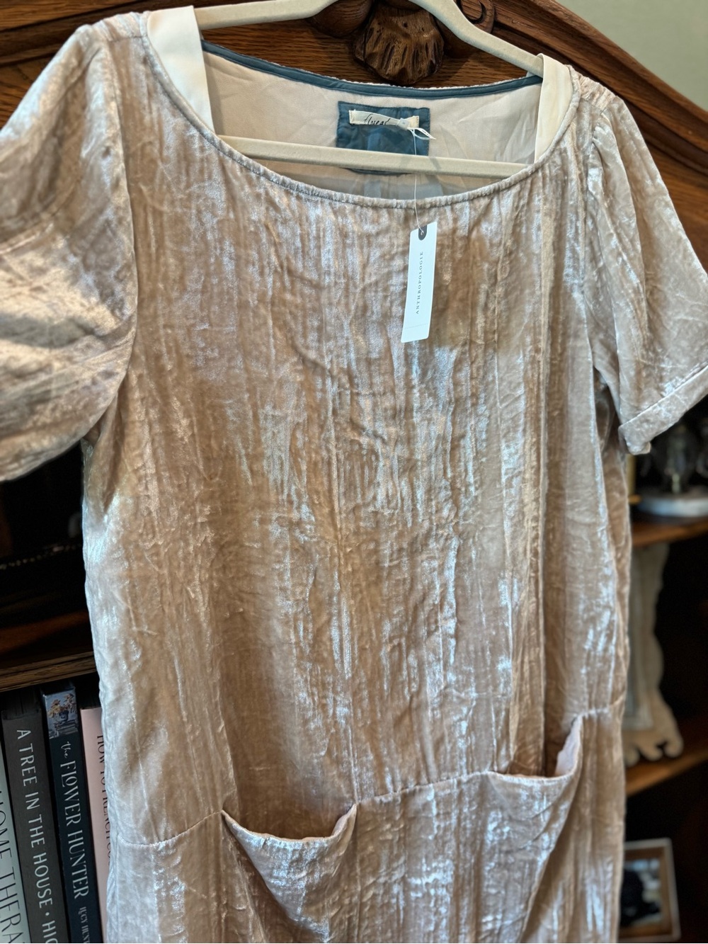 Anthropologie Crushed Velvet Short-Sleeve Tunic in Nude Blush